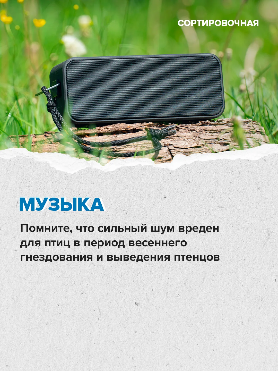 🍢 В пяти парках Москвы уже можно забронировать места для пикника  ⬆️ Как провести время на природных