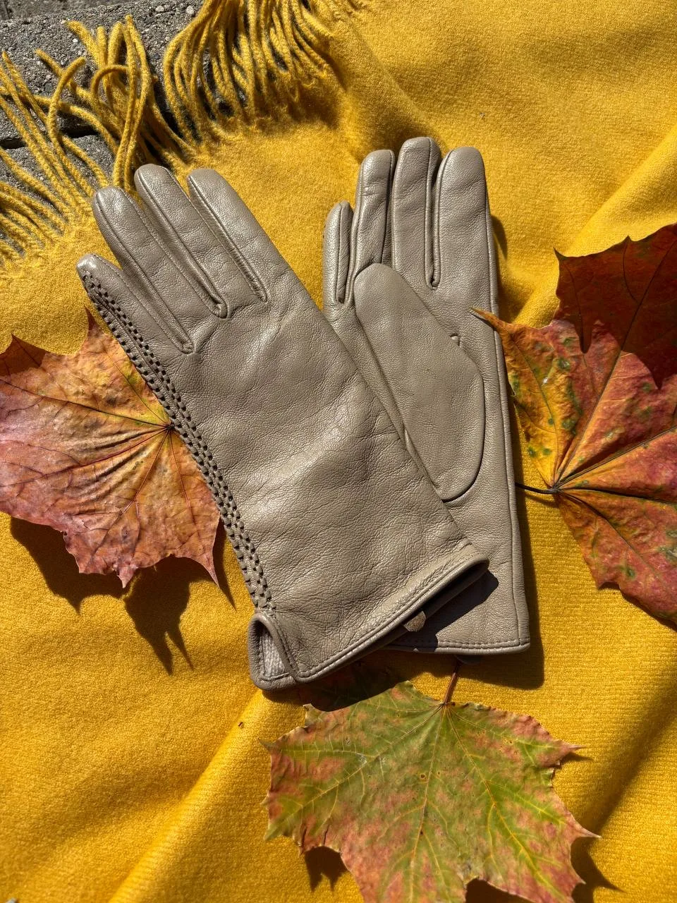 🍂🍂⭐️🍂🍁🍁🥧🍁🍁🌳