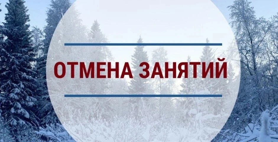 5 февраля отмена занятий с 1 по 10 классы