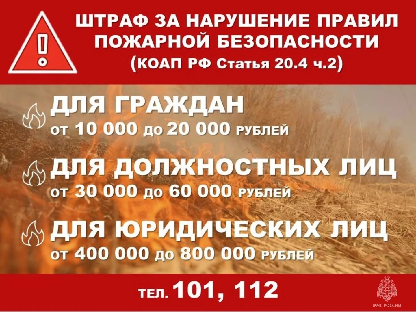 🚫 Подписано постановление об установлении особого противопожарного режима