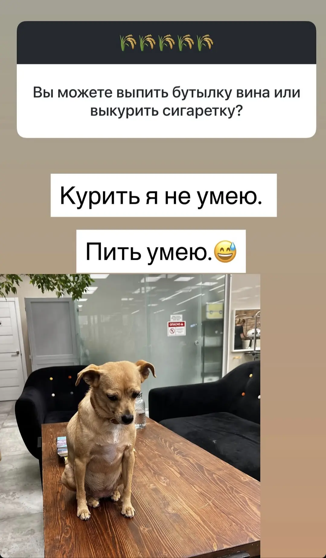 Теперь ваша очередь признаваться😄