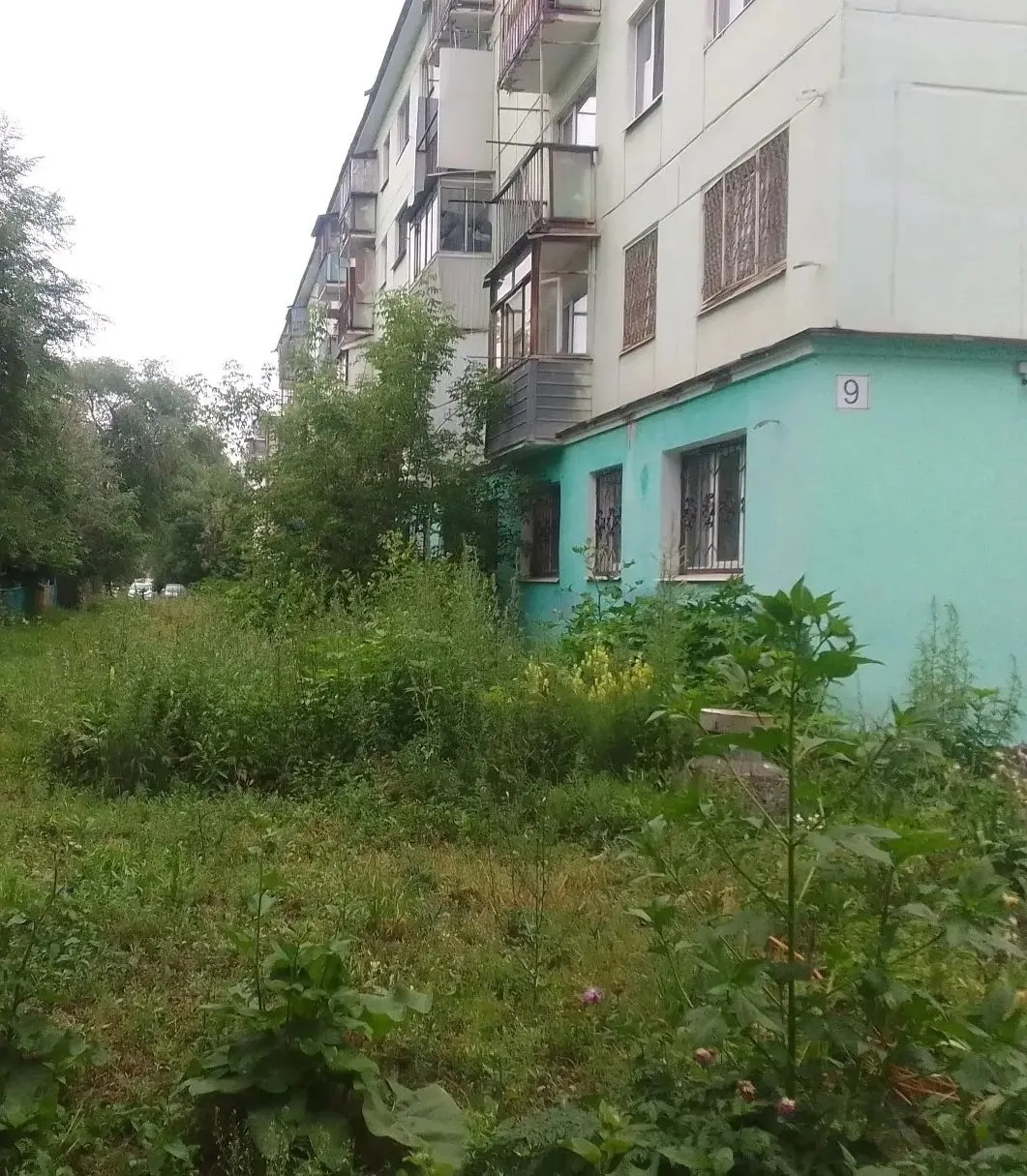 Куйбышевский район зарастает - на Ново-Молодежном переулке, 9 трава уже перекрывает окн...