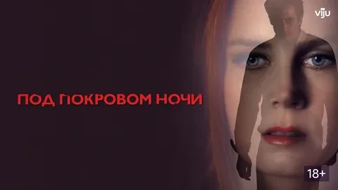 Под покровом ночи (2016)

Сьюзен получает от бывшего посылку со зловещим романом. Элегантный триллер