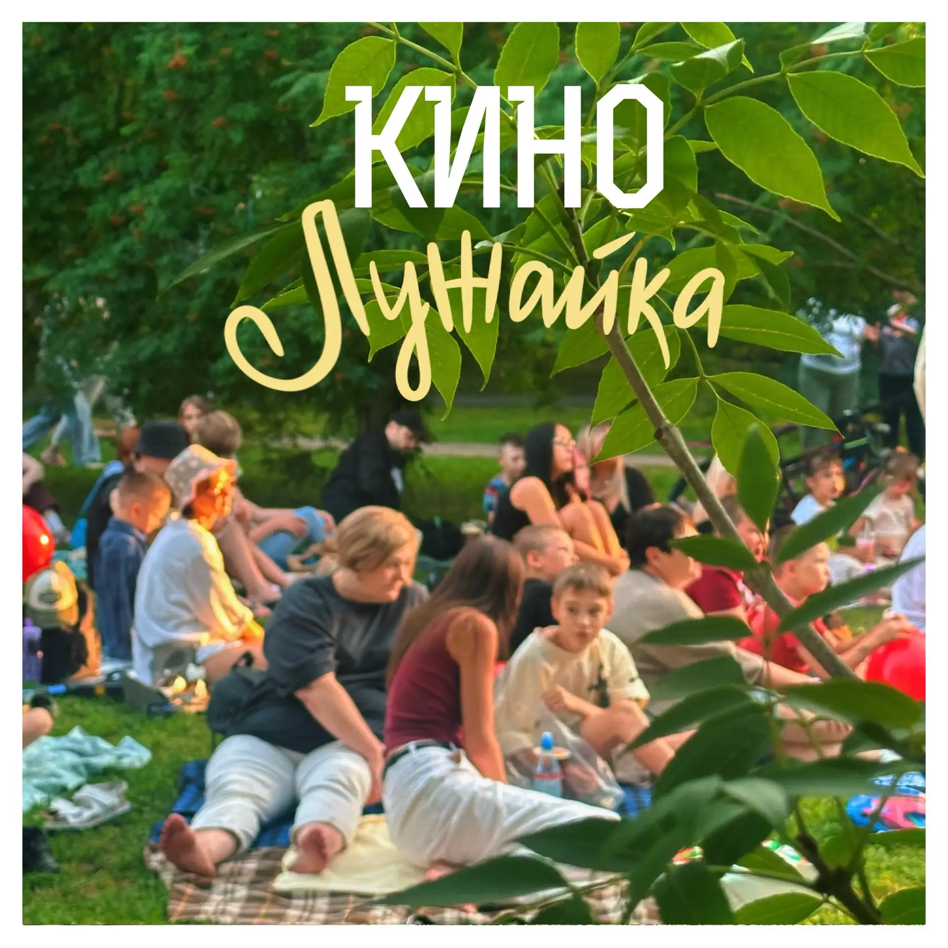 Кинолужайка х СушиСелл 🎬🤍