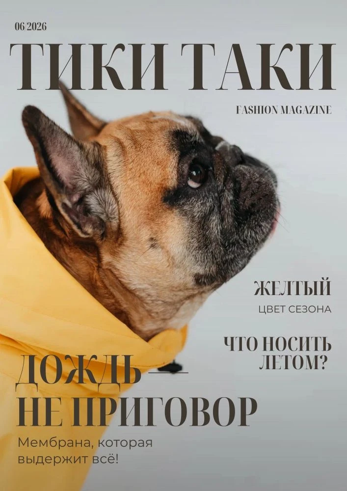Комбинезон-дождевик для французского бульдога: когда гулять нужно, даже если дождь против.