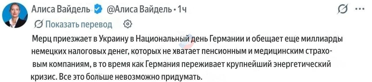 ✔️ Сопредседатель партии "Альтернатива для Германии" прокомментировала визит Фридриха М...