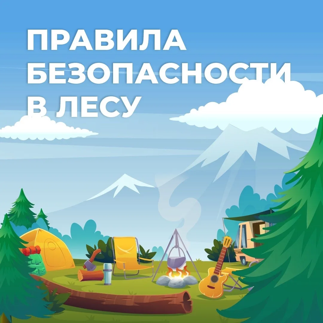 🌲 Лес - прекрасен и опасен одновременно 
 
Тишина, пение птиц, свежий воздух… Лес дарит нам умиротв