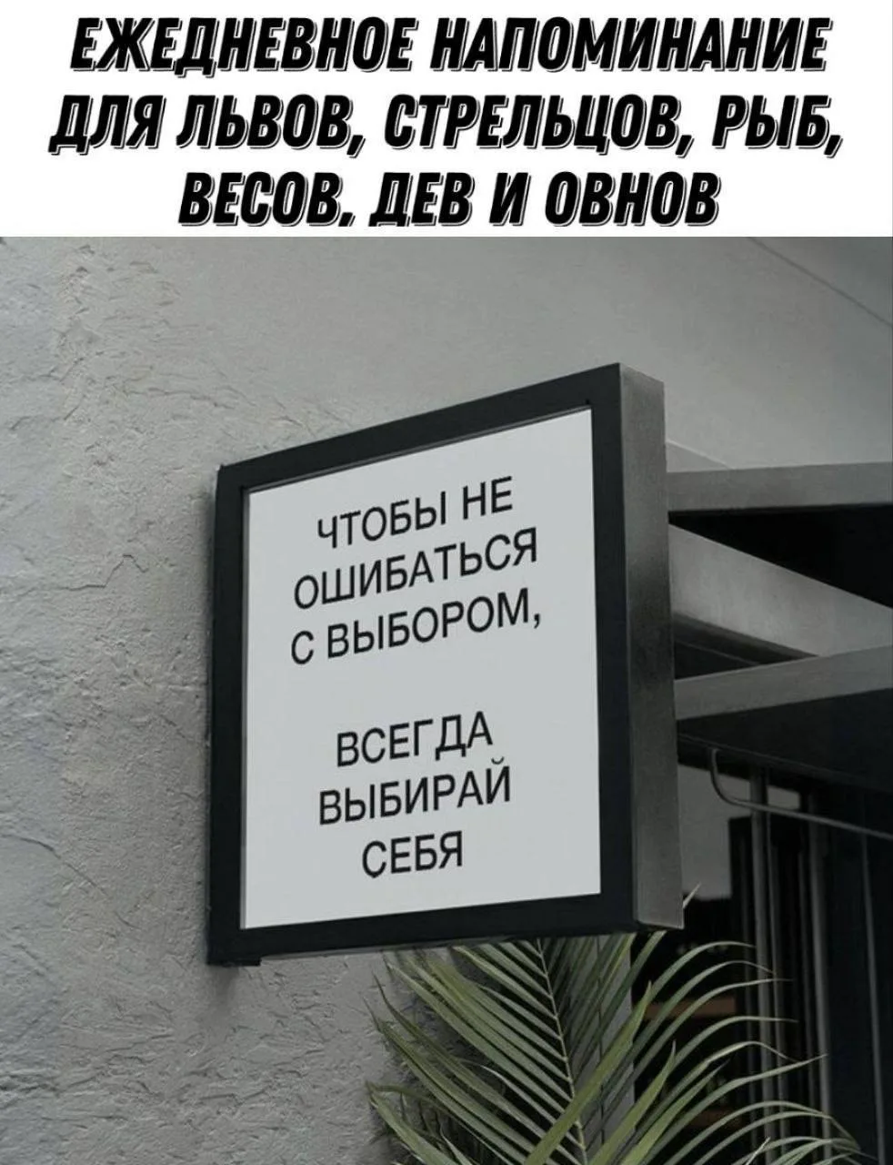 Ежедневное напоминание: