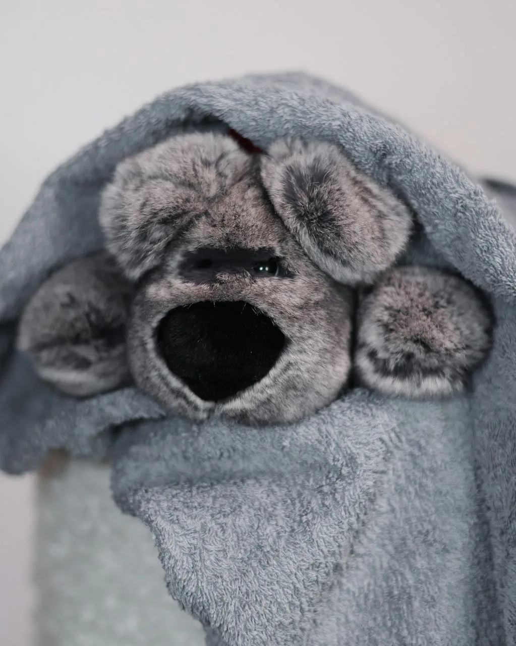 Что делать, если ваш пушистый друг намок? 🧸💧