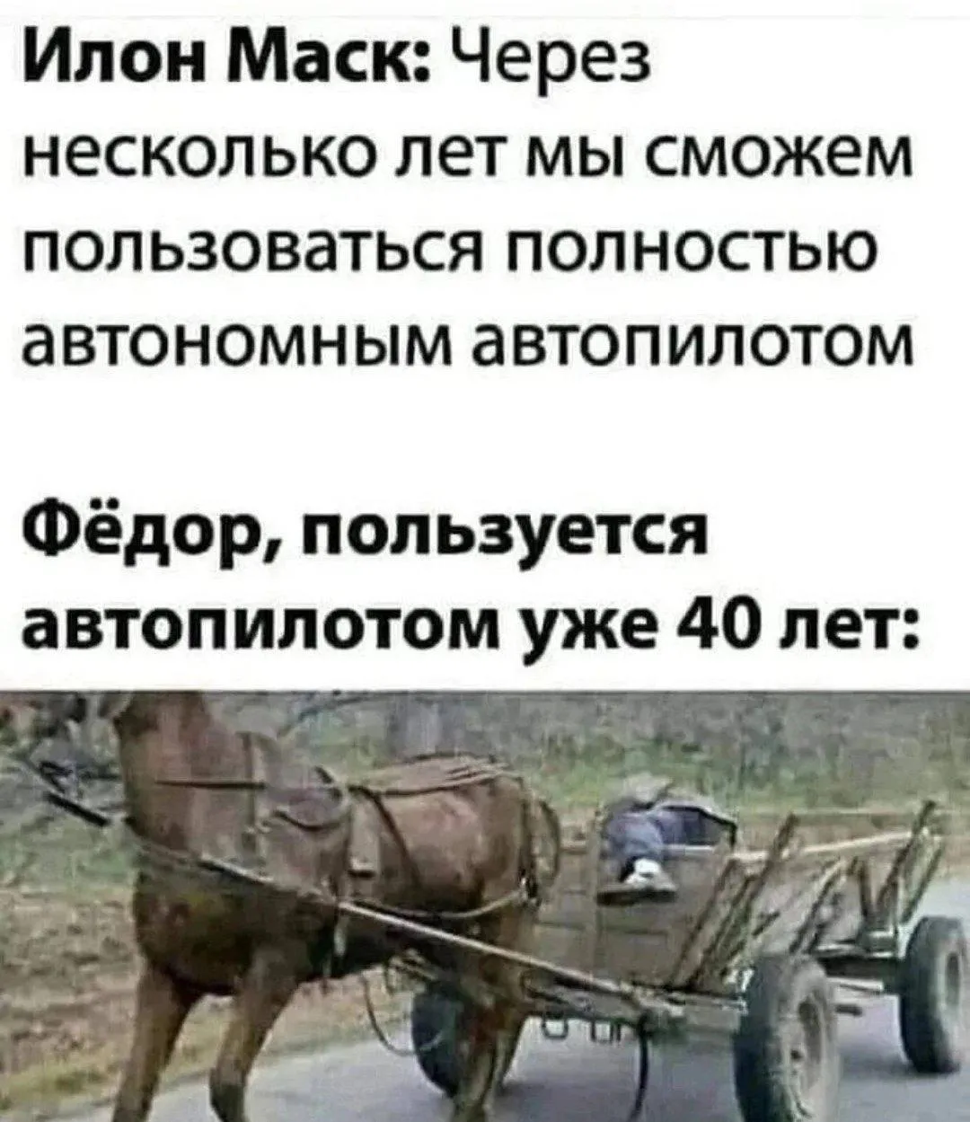 Мемы каждый день • Подписаться