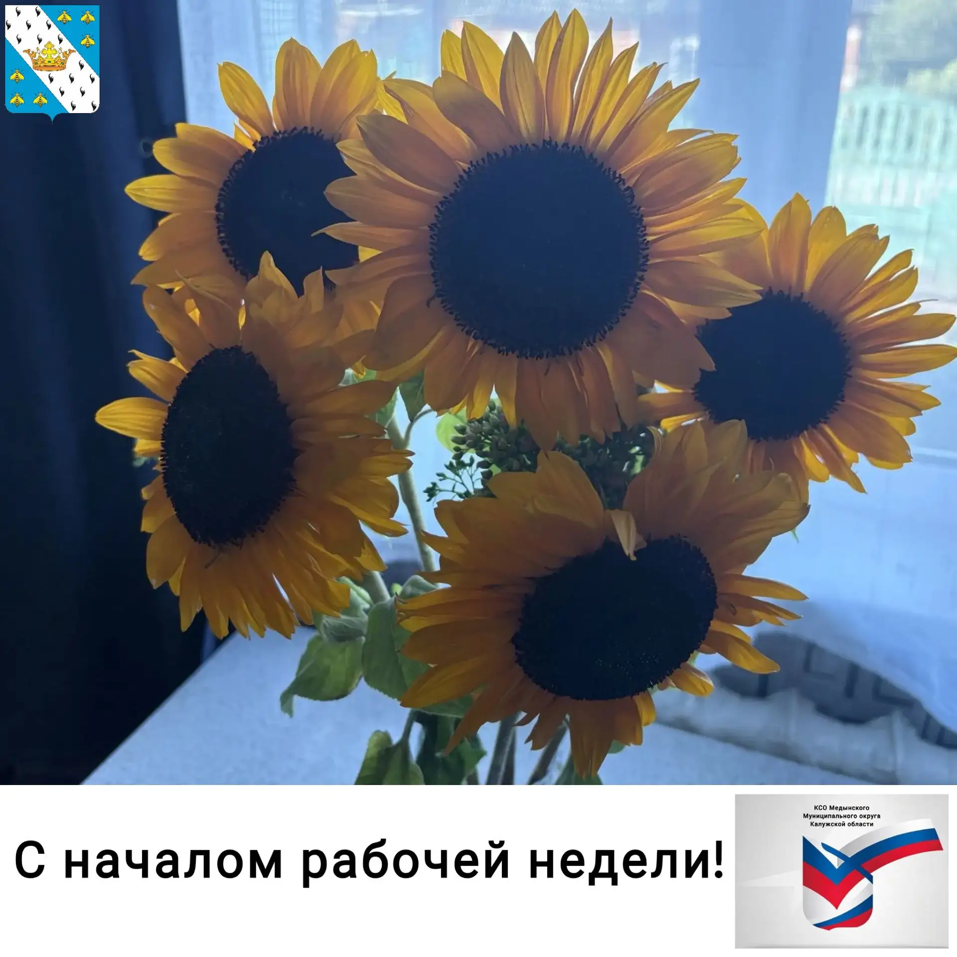 🌻С началом рабочей недели, друзья!
