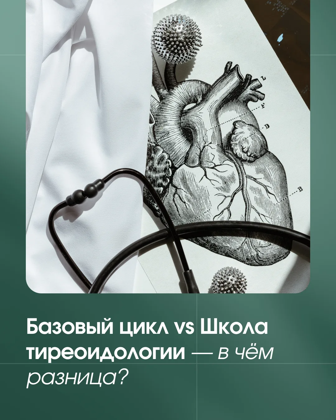 😊 Если вы проходили Базовый сертификационный цикл, вы уже разбирали здоровье щитовидной железы. И с