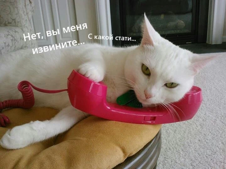 Куда звонить, если есть проблемы с отоплением