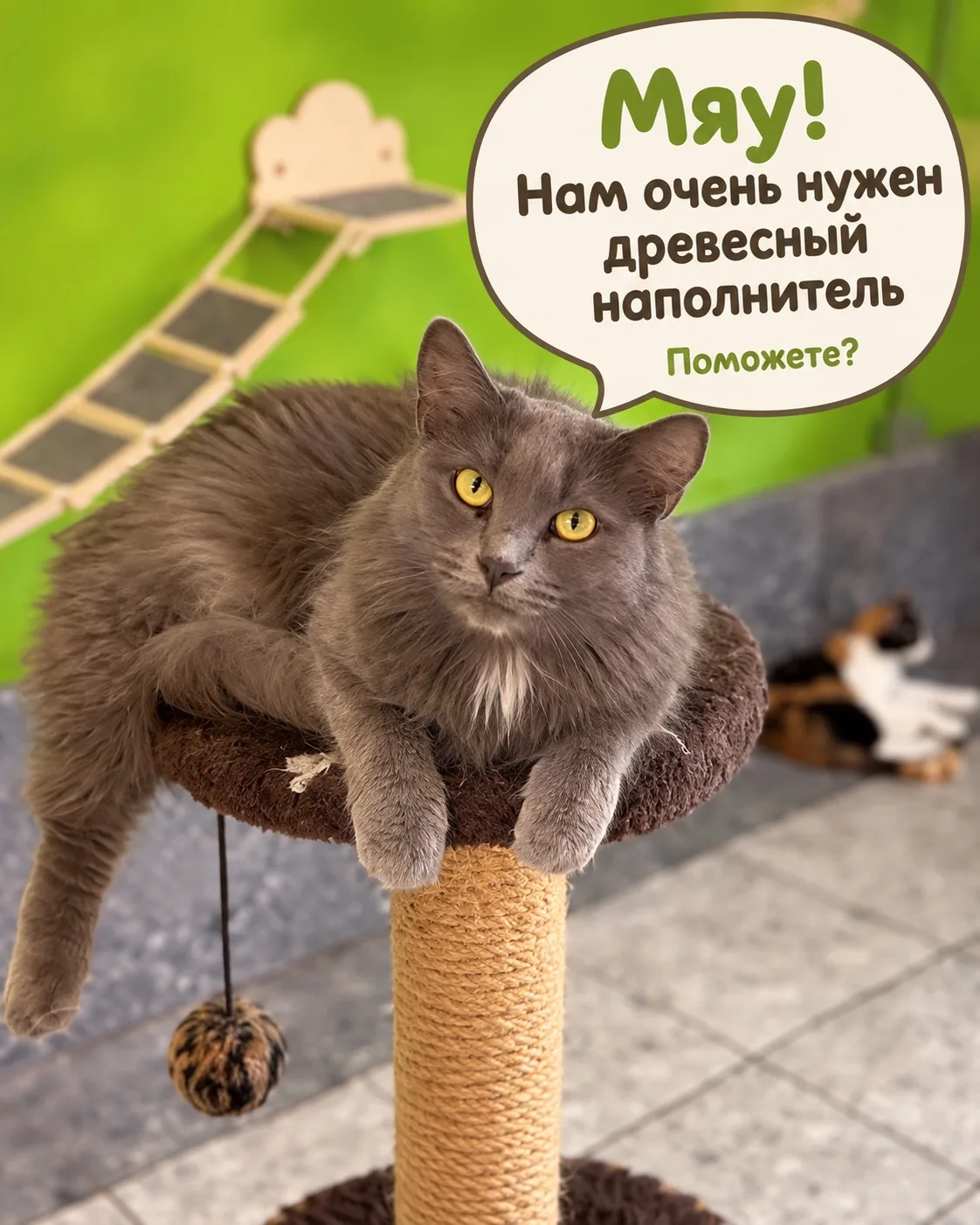 Друзья, у нас закончился наполнитель для кошачьих лотков.