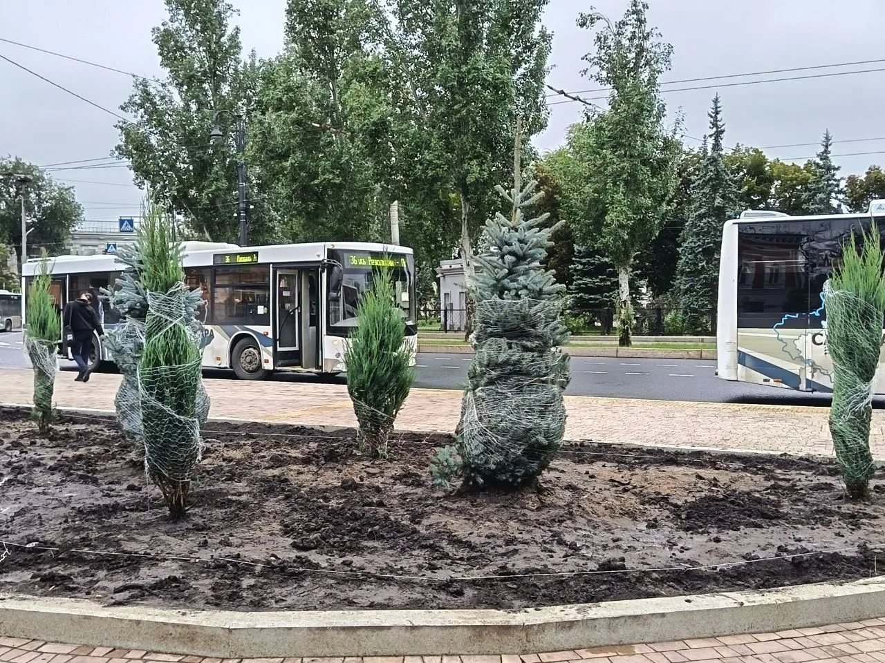🌸 На площади Революции начали создавать декоративные клумбы!