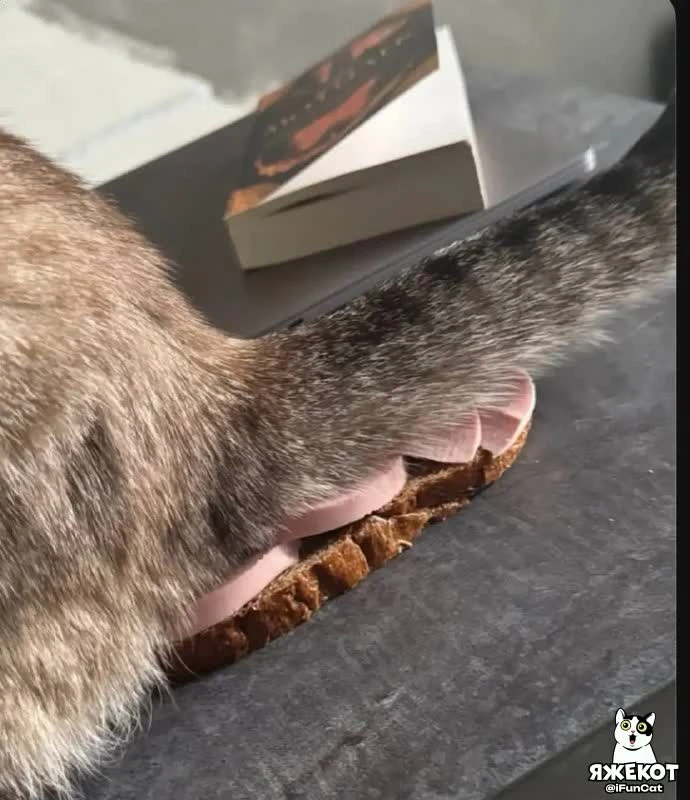 🐾 ЯЖЕКОТ