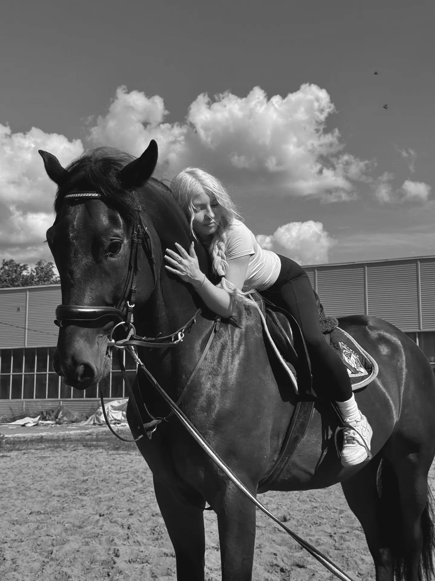 вот такой сюрприз мне сделал Марк, лучший подарок 🐴