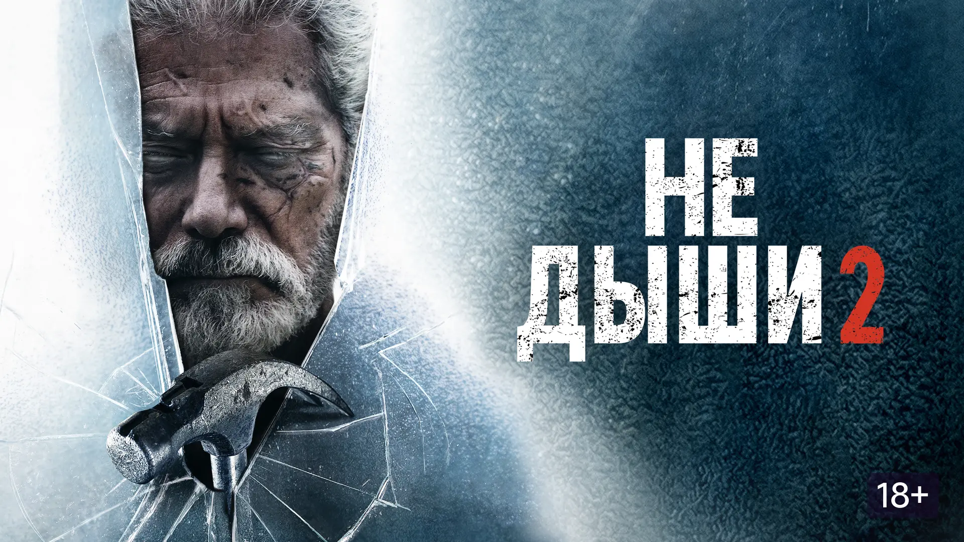 Не дыши 2 (2021) 
Жанр: #триллер

Слепой ветеран должен использовать свою военную подготовку, чтобы 