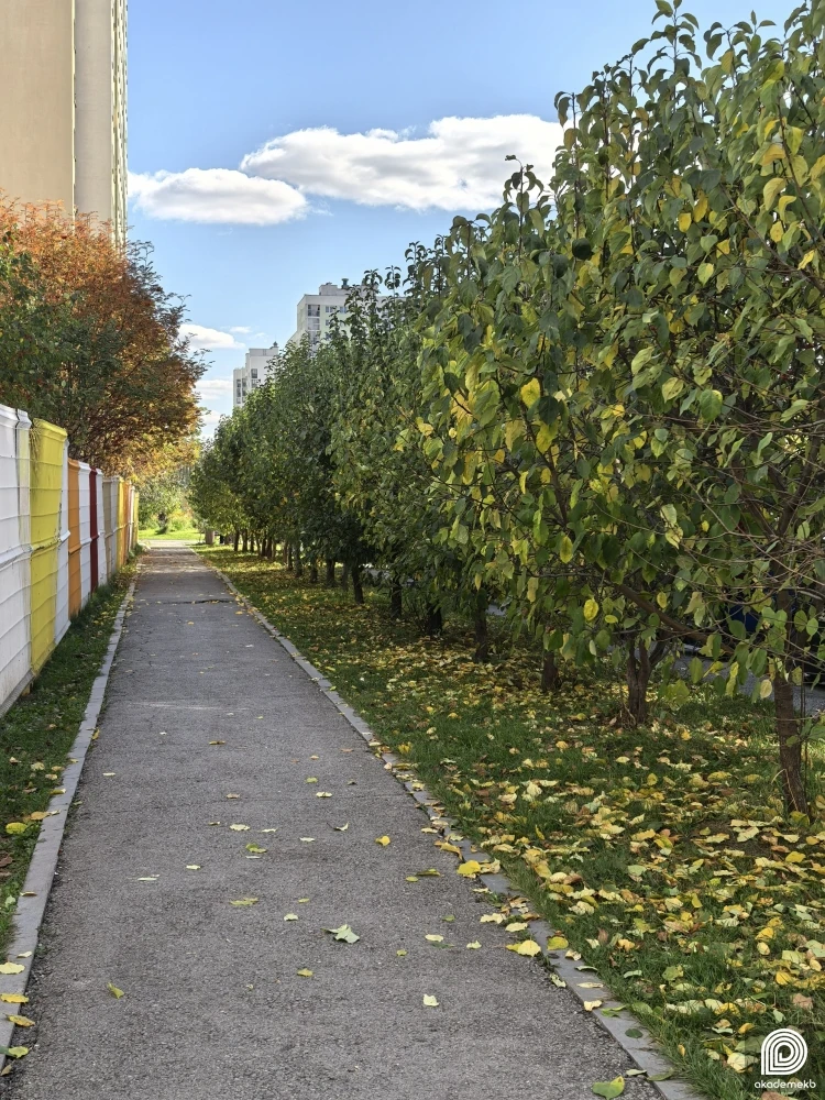 Фото дня