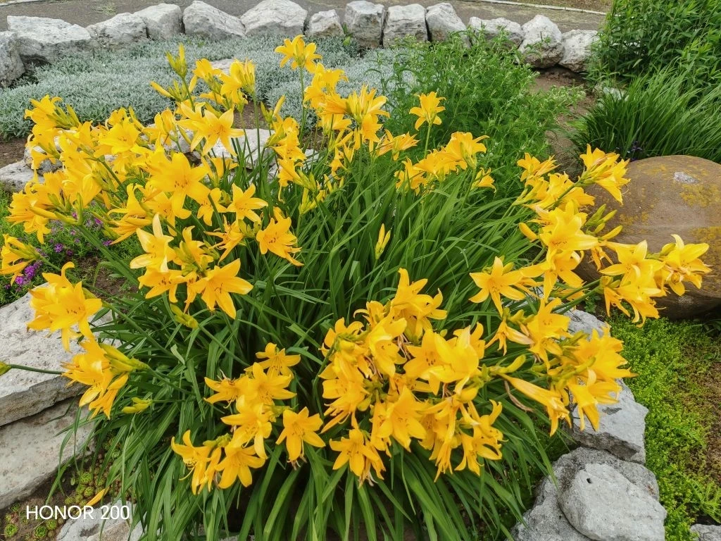 🌷☀🎋Встречаем лето во всей красе!