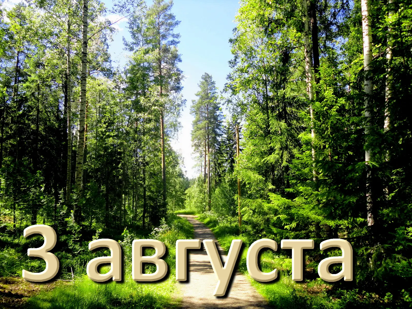 3 августа — дата, богатая на события в народном календаре, истории России и мира. Вот о...