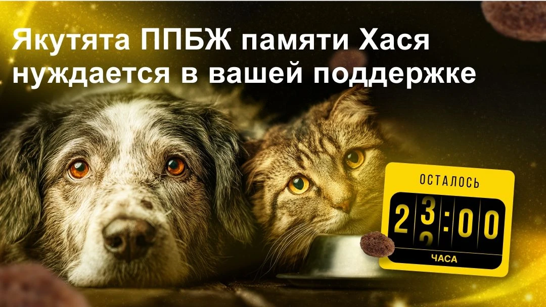 Через 7 часов заканчивается корзина помощи для приюта «Якутята ППБЖ памяти Хася» г. Мос...