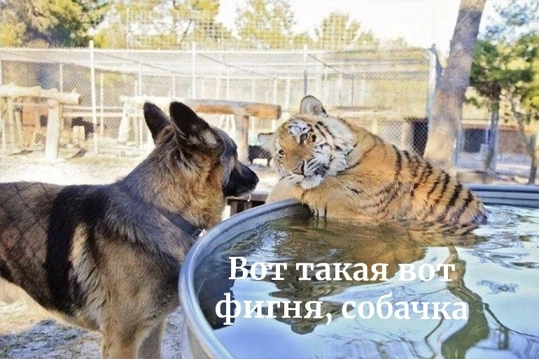 Мем дня 😁