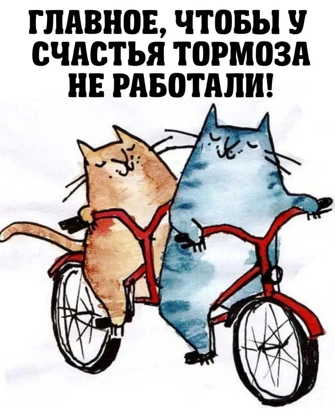 Открыточки 💖