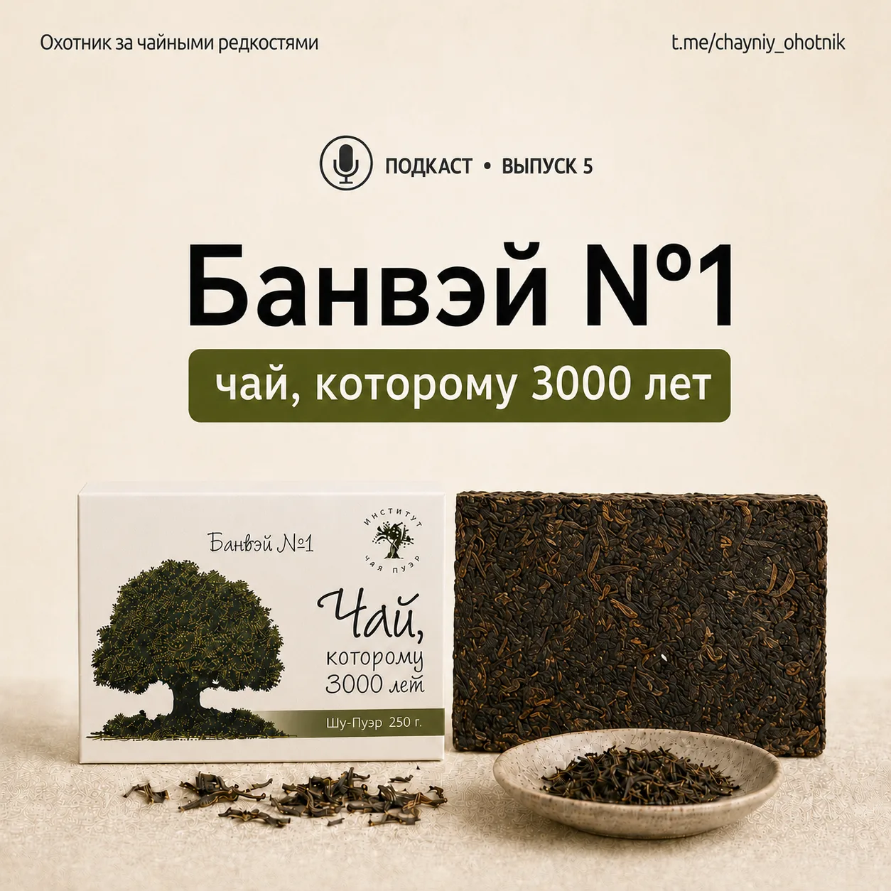 🎧 Пятый выпуск чайного подкаста — в эфире