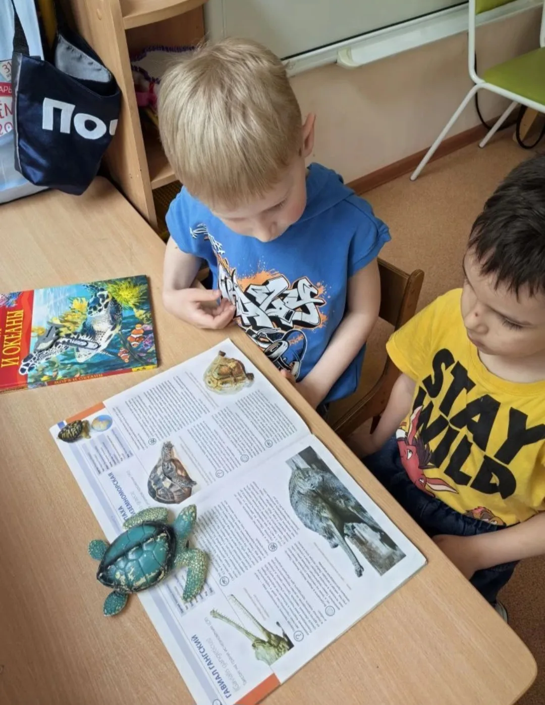 📸 Творческая мастерская: «Черепашки из природного материала»

Всемирный день черепахи в старшей гру