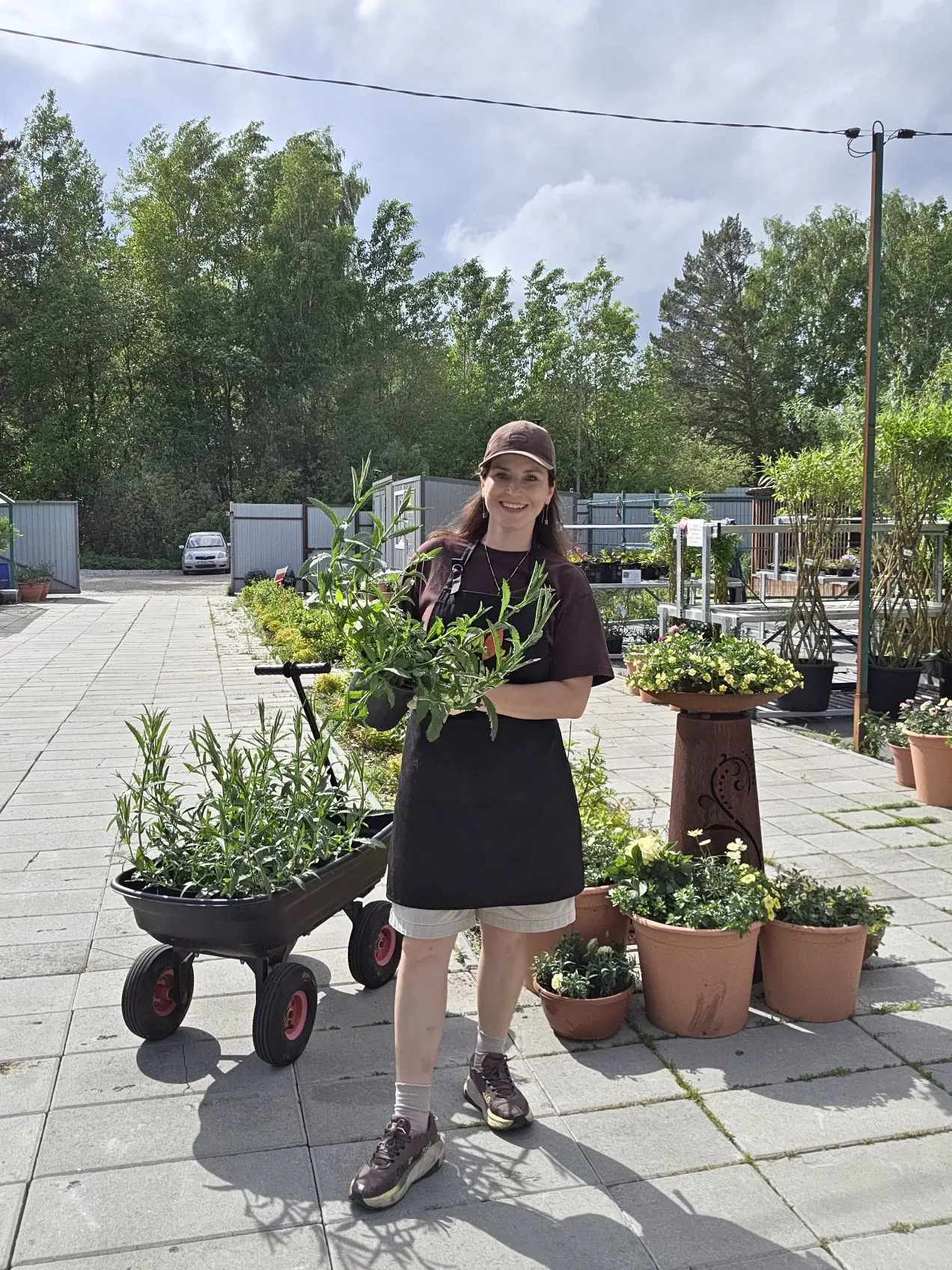 Добралась сегодня до вербены бонарской, высадила 🌱
