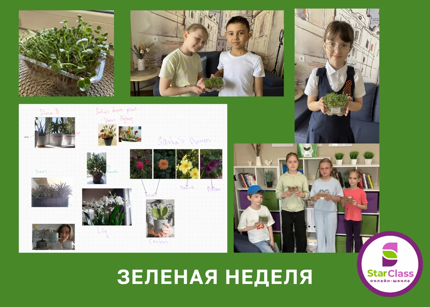 Продолжаем проект ТЕМАТИЧЕСКИЕ НЕДЕЛИ ☀️