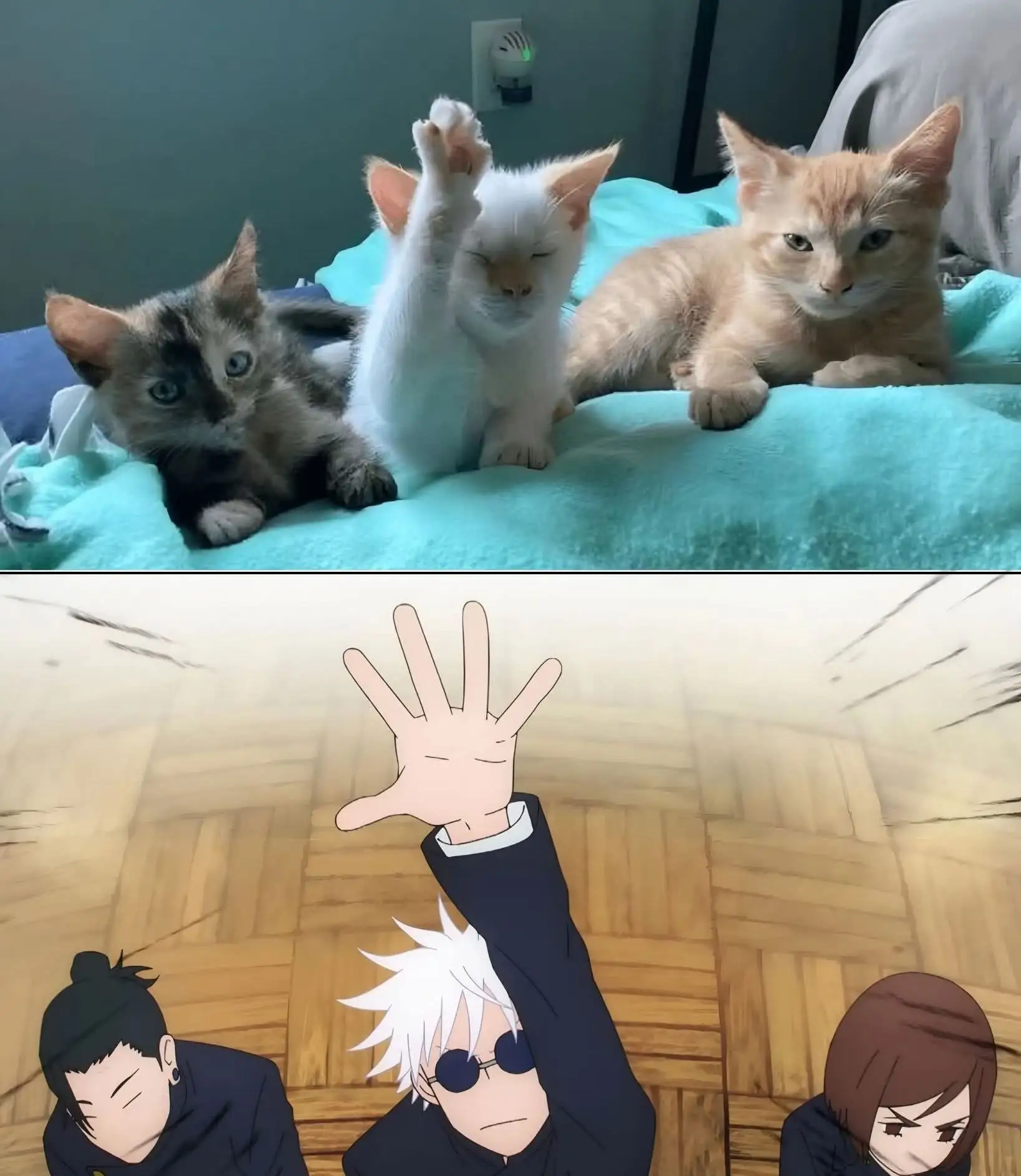 #Мемы