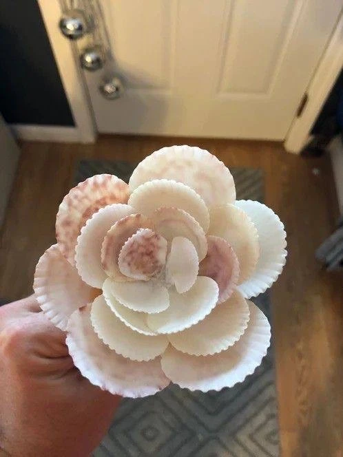 🐚 Цветы и украшения из ракушек