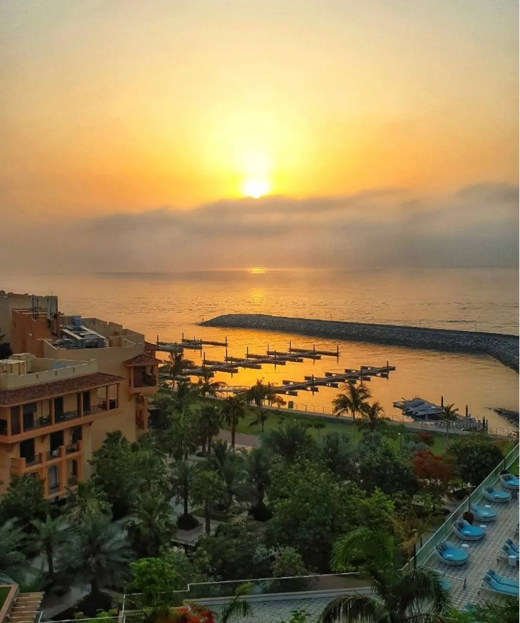 ОАЭ🇦🇪