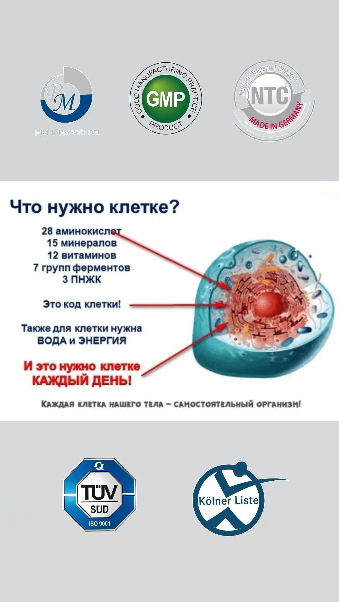💊 Дешевле предотвратить, чем лечить — и это не просто слова, а здравый подход к себе!