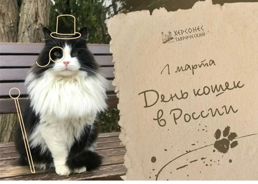 Кошка – одно из самых популярных и любимых на Земле домашних животных. Любовь к кошкам ...
