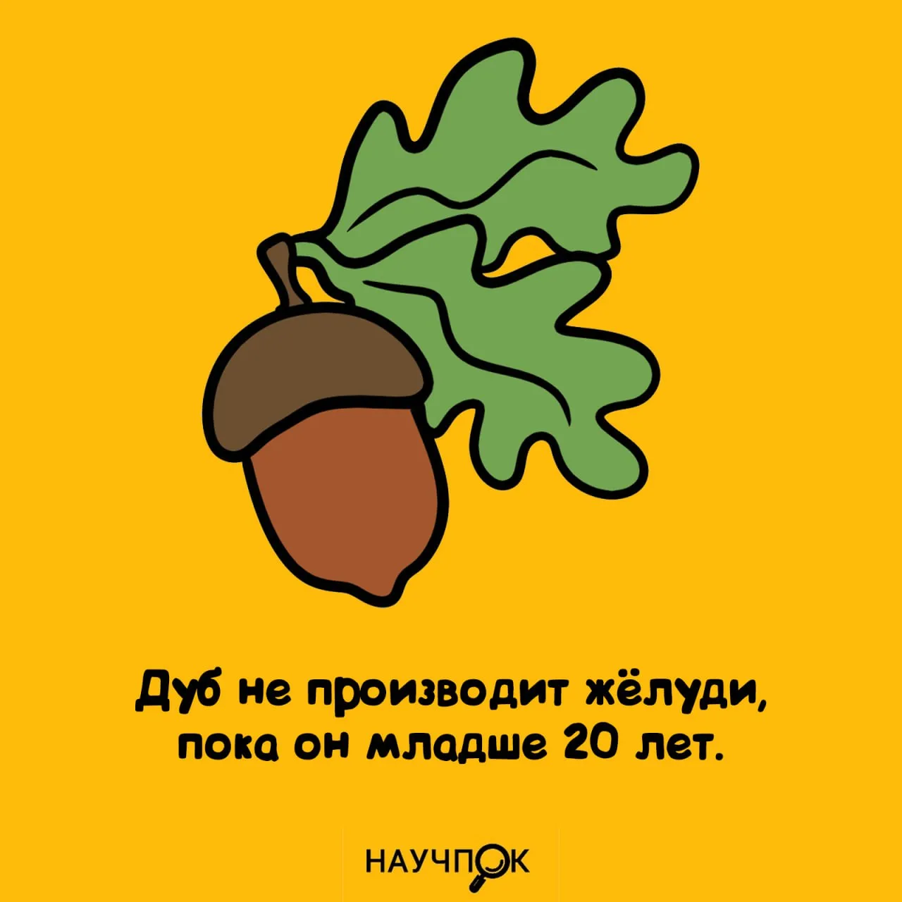 Научпок | Подписаться