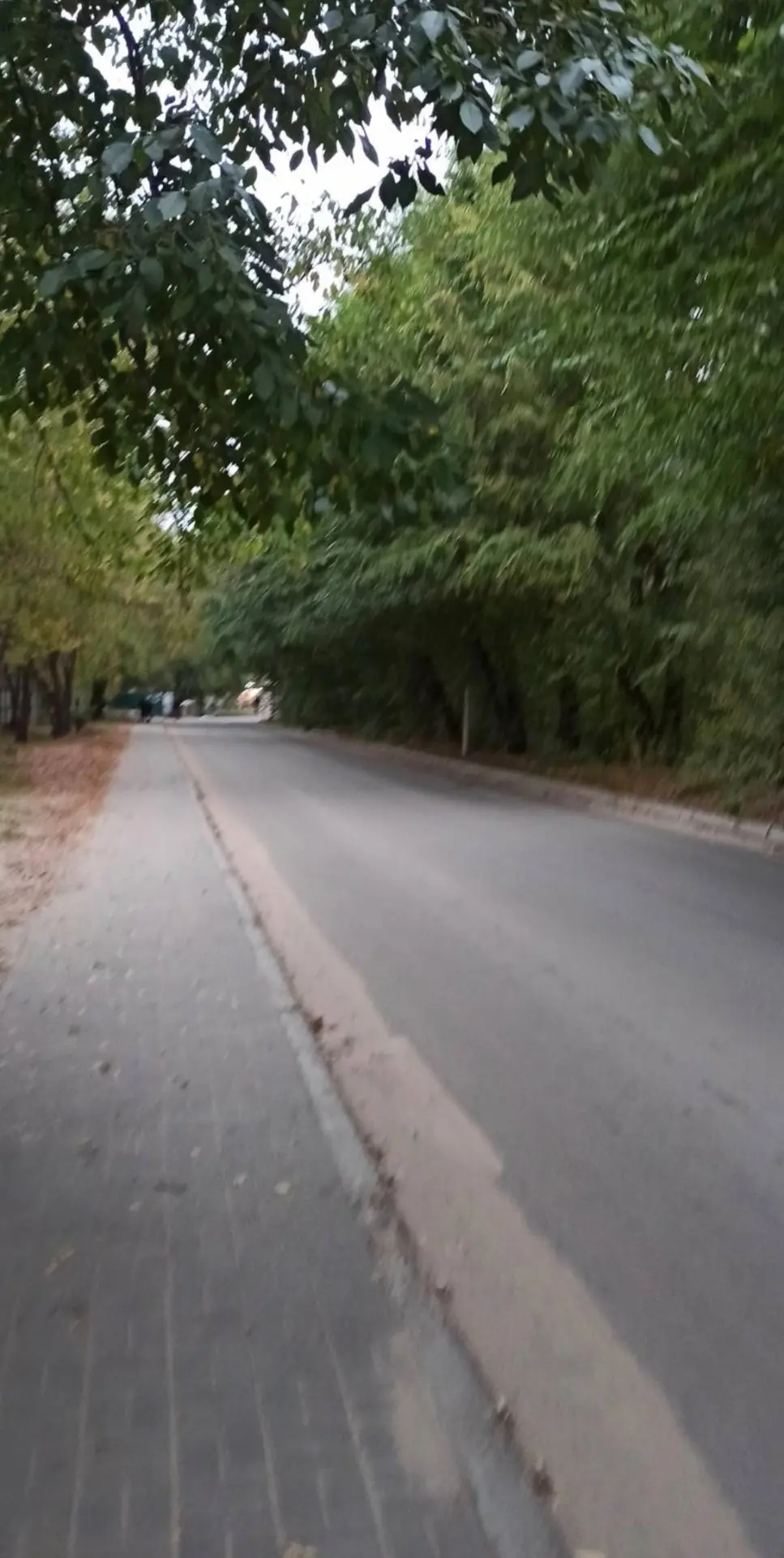 Улица Берег реки Дон в сторону домов 29Е и 29В, установить лежачие полицейские, прямая ...