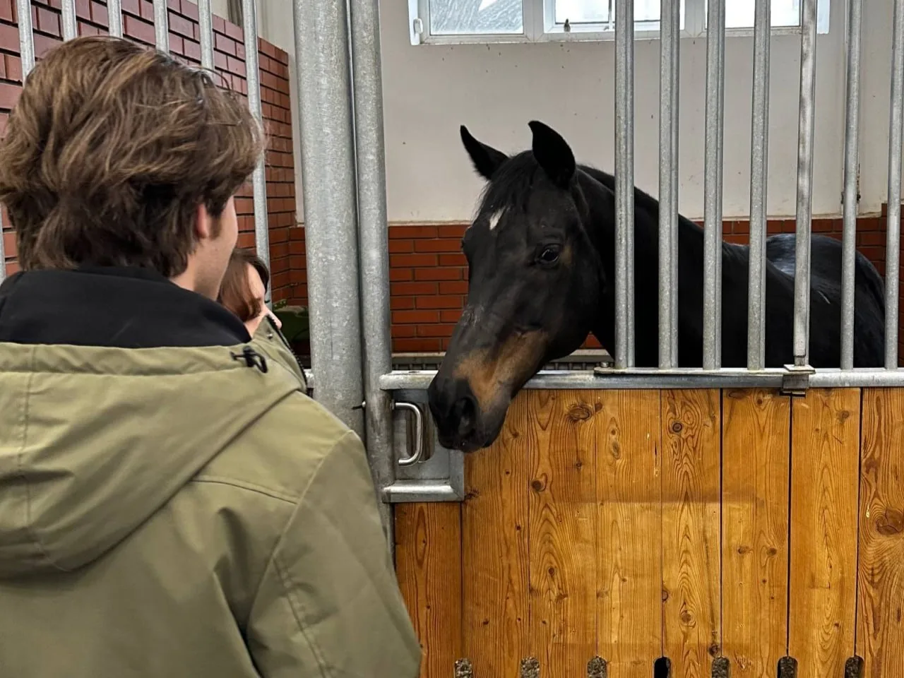 Встреча с грацией и силой 🐎  🏛 На каникулах ученики 10 и 11 профильных естественно-научных классов п