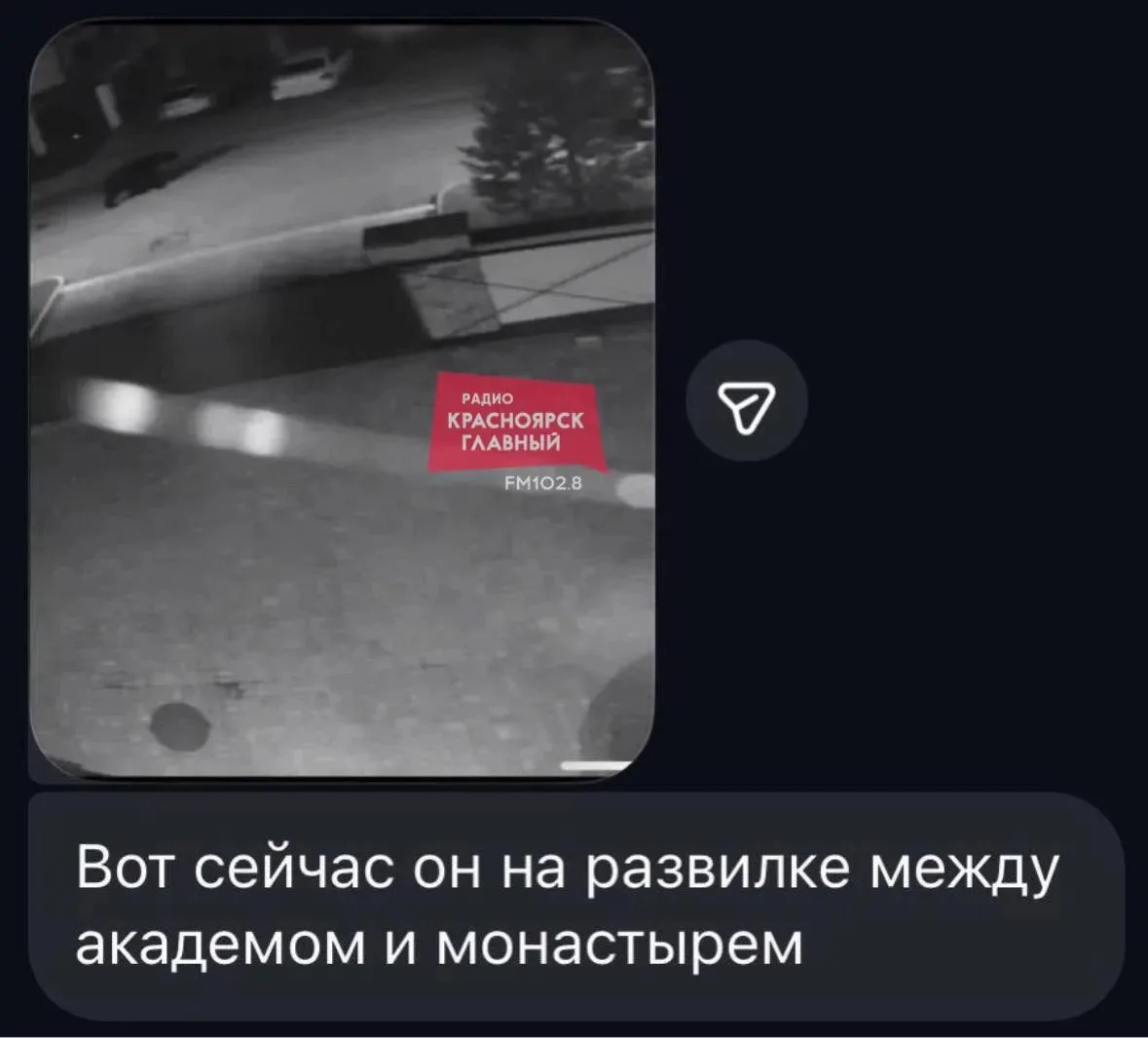 ❗По Красноярскому краю продолжают бродить медведи
