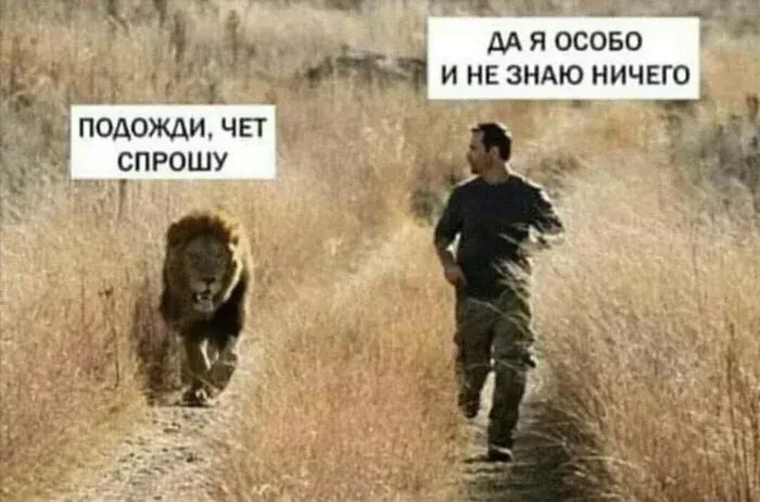 Все любят котиков! и котики любят всех)
