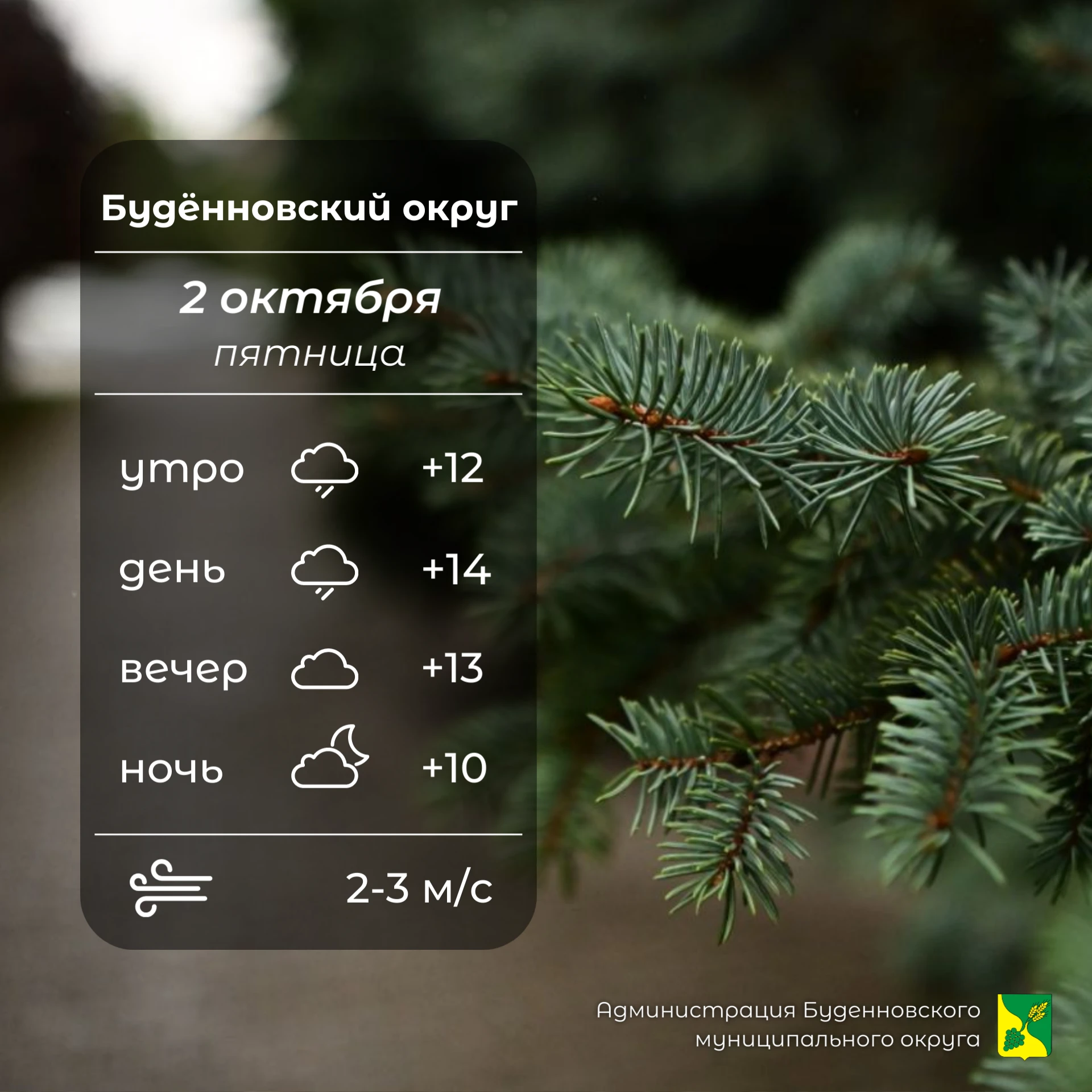 🌧️Сегодня в Буденновском округе пасмурно, возможен слабый дождь. Температура воздуха +...