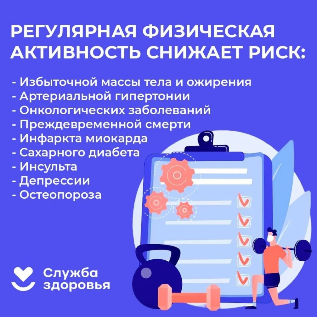 В современном мире физическая активность населения продолжает снижаться: каждый четвертый взрослый ч