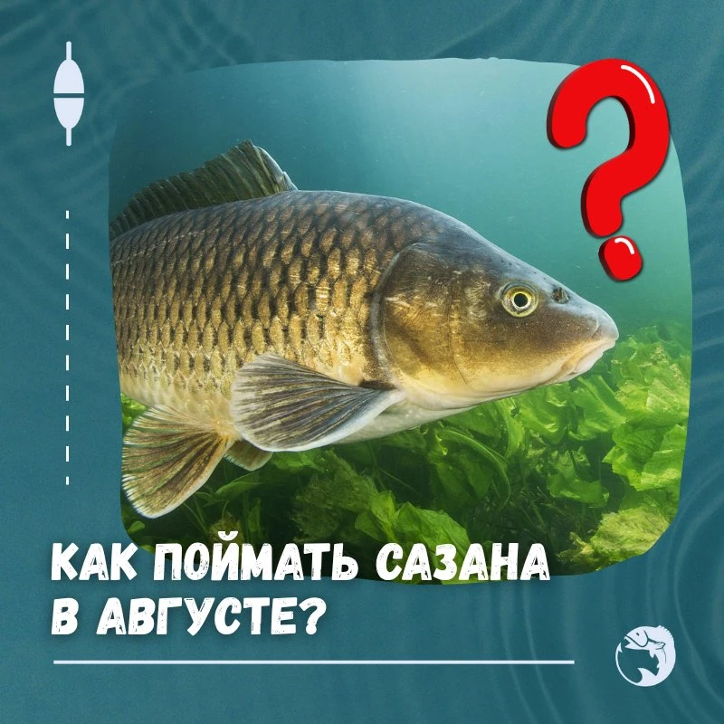 ❓Рассказываем тут 👇