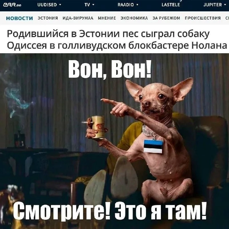 — Гордость за Эстонию!
