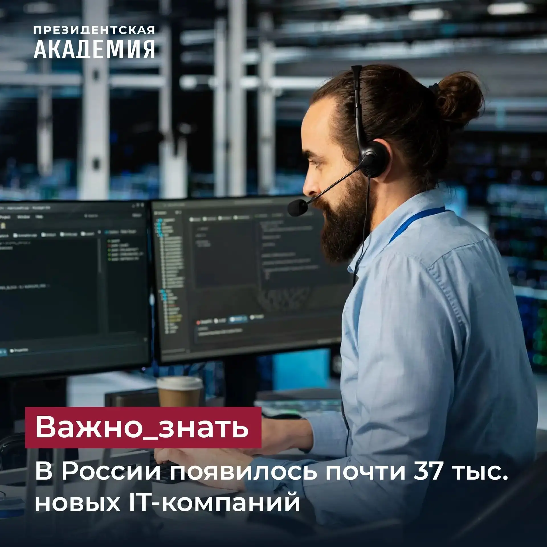 В России появилось почти 37 тыс. новых IT-компаний.