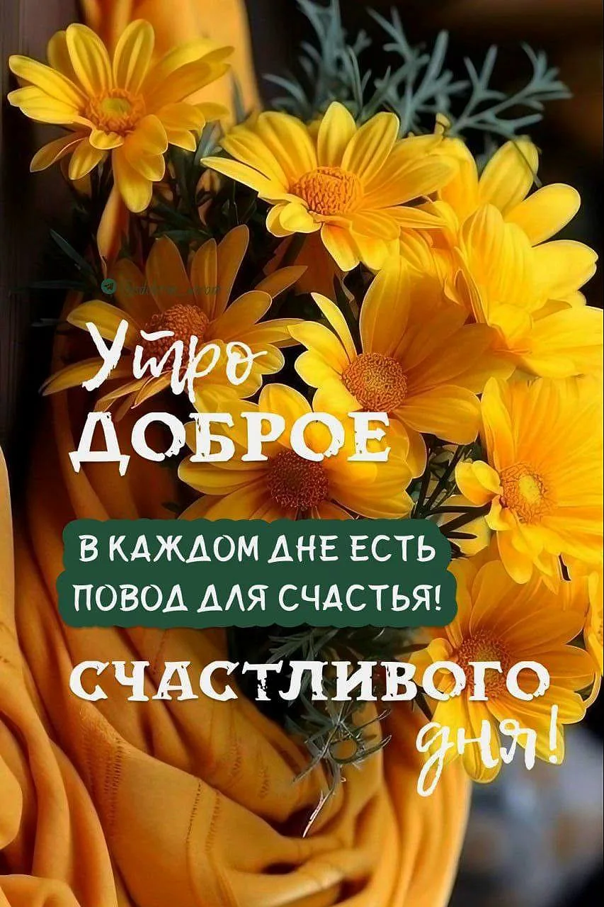 Поздравления Открытки ❤️