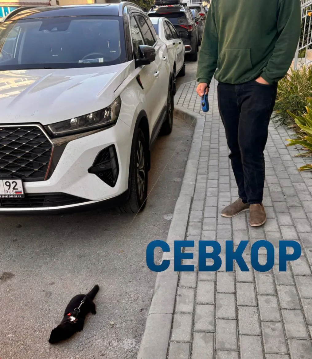 Севастопольская мода: норка на поводке