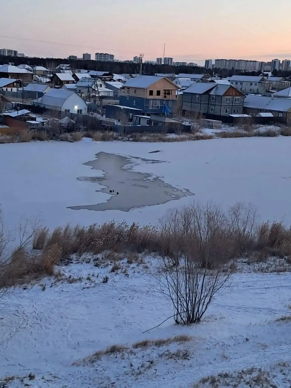 За ночь поверхность воды в озере еще сильнее затянулась льдом. Осталась вот такая небол...